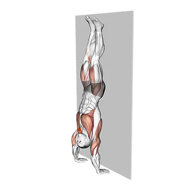 Best Gymnastics Workouts Kipping Handstand PushUp