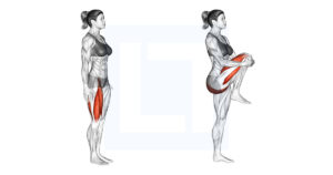Elastic Knee Rising Standing Knee Raise: Hip Flexor Activation Drill