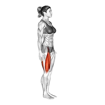 Best Bodyweight Hip Flexor Workouts Knee Raise