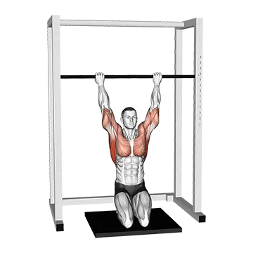 Kneeling Assisted Sliding Chin Up