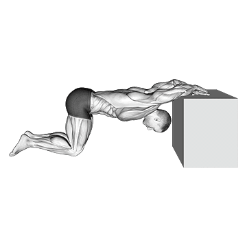 Best At Home Chest Workouts Kneeling Chest Stretch