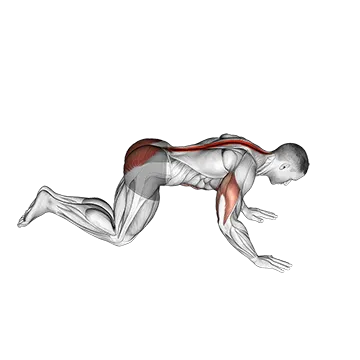 Kneeling Cobra Push Up