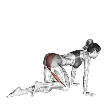 Kneeling Glute Press