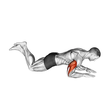 Kneeling Half Triceps Extension