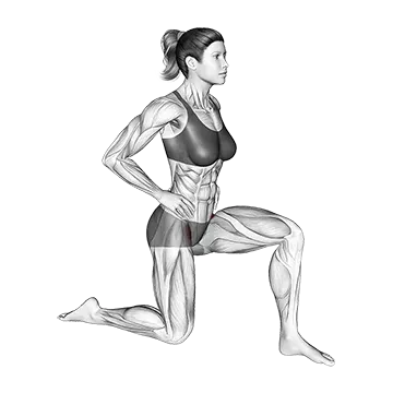 Kneeling Iliopsoas Stretch