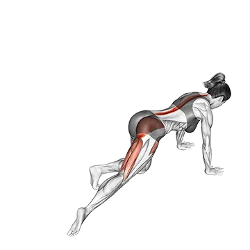 Kneeling Leg Half Circle
