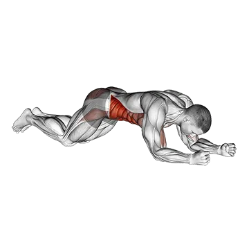 Kneeling Plank Tap Shoulder
