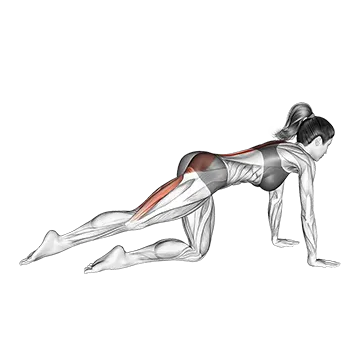 Kneeling Pulse