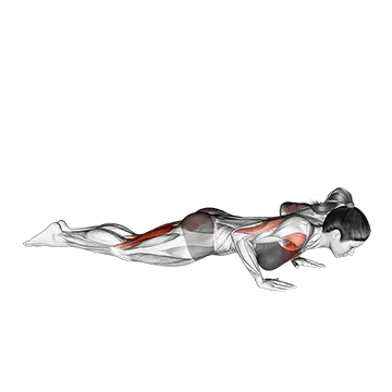 Kneeling Push Up to Child Pose