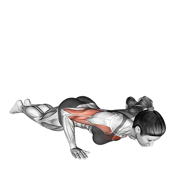 Kneeling Shoulder Tap Push Up