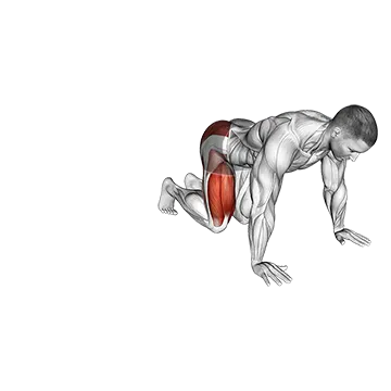 Kneeling Side Leg to Kick