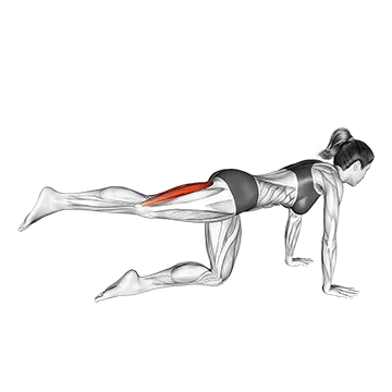 Kneeling Single Hamstring Curl