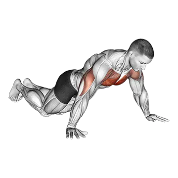 Kneeling Wide Hand Push Up
