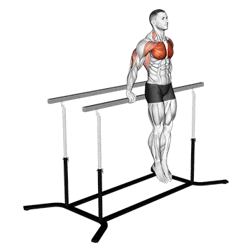 Best Calisthenics Tricep Workouts Korean Dips