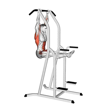 Best Bodyweight Lat Workouts LPullUp