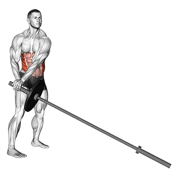 Best Obliques Exercises Landmine 180