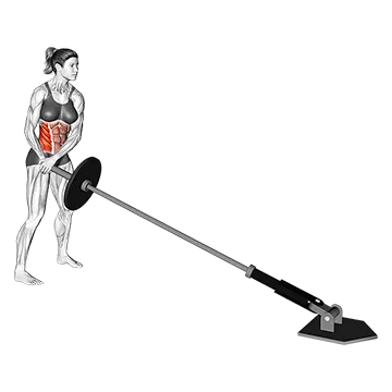 Landmine 1800