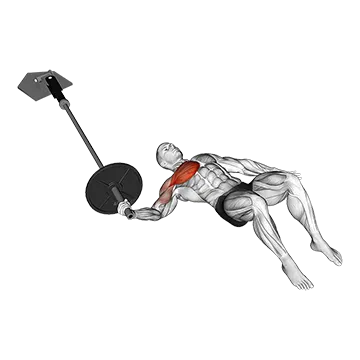 Best Landmine Workouts Landmine Floor One Arm Chest Fly