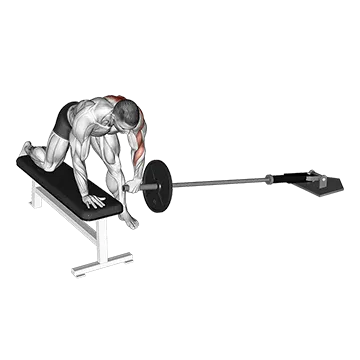 Best Landmine Workouts Landmine One Arm Bent Over Bench Row