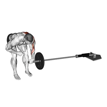 Best Landmine Workouts Landmine One Arm Bent Over Row