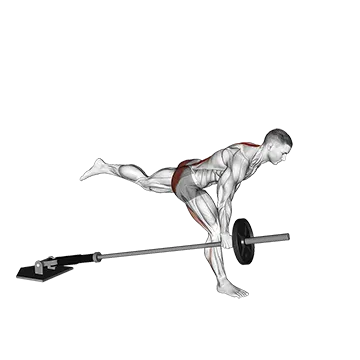 Best Landmine Workouts Landmine One Leg Stiff Leg Deadlift