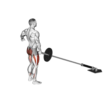 Best Landmine Workouts Landmine Rear Lunge