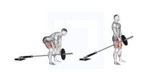 Kettlebell Romanian Deadlift - Guide, Benefits, and Form