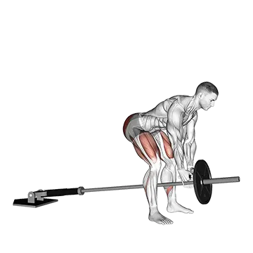 Best Landmine Workouts Landmine Romanian Deadlift