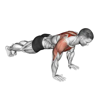 Lay Down Push Up