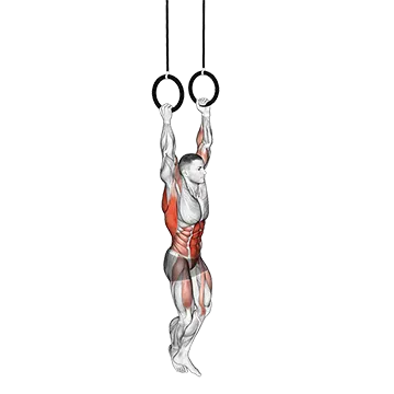 Leg Assisted Ring Pull Up