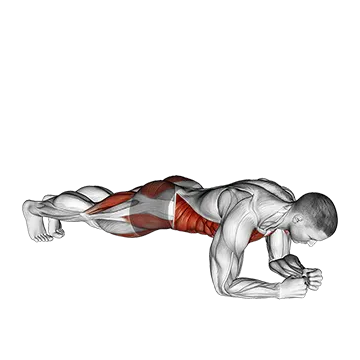 Leg Lift to Chest Front Plank