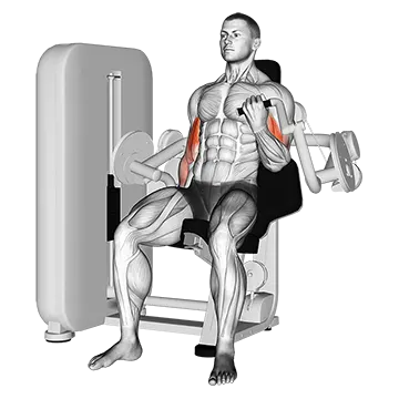 Lever Alternate Biceps Curl