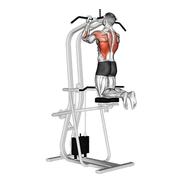 Best Machine Bicep Workouts Lever Assisted Chin Up