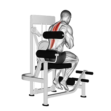 Best Machine Hamstring Workouts Lever Back Extension