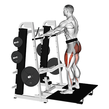 Best Machine Quad Workouts Lever Belt Squat