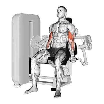 Best Machine Bicep Workouts Lever Biceps Curl