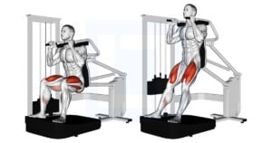 Lever Chair Squat - Guide, Benefits, and Form
