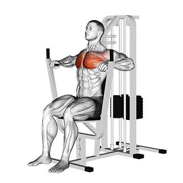 How To Build A Bigger Chest Machine Chest Press