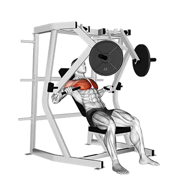 Best Machine Chest Workouts Lever Decline Chest Press