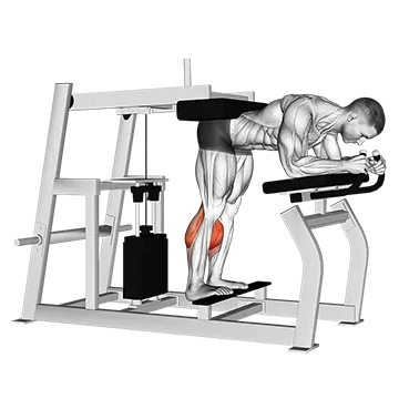 How To Build Bigger Calves Lever Donkey Calf Raise