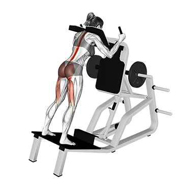Best Machine Hamstring Workouts Lever Good Morning On The Hack Squat Machine
