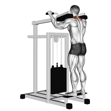Lever Gripless Shrug