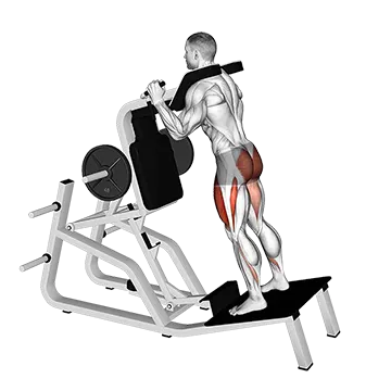 Lever Hack Squat
