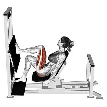 Lever Horizontal One Leg Press