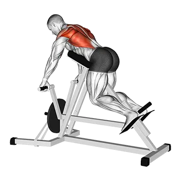 Lever Lying Banded T Bar Row