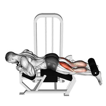 Best Push Pull Legs Routine Lying Leg Curl