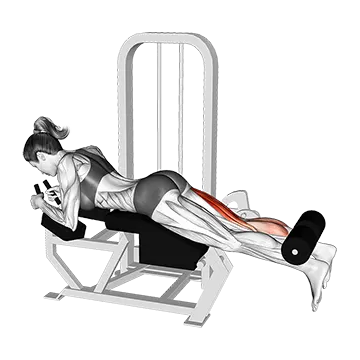 Lever Lying Single Leg Curl