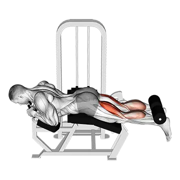 Lever Lying Two One Leg Curl