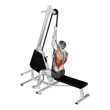 Best Machine Back Workouts Lever Multi Mode Rope Lat Pulldown