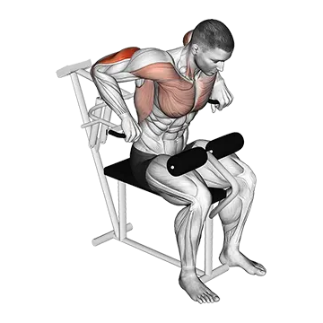 Lever Overhand Triceps Dip